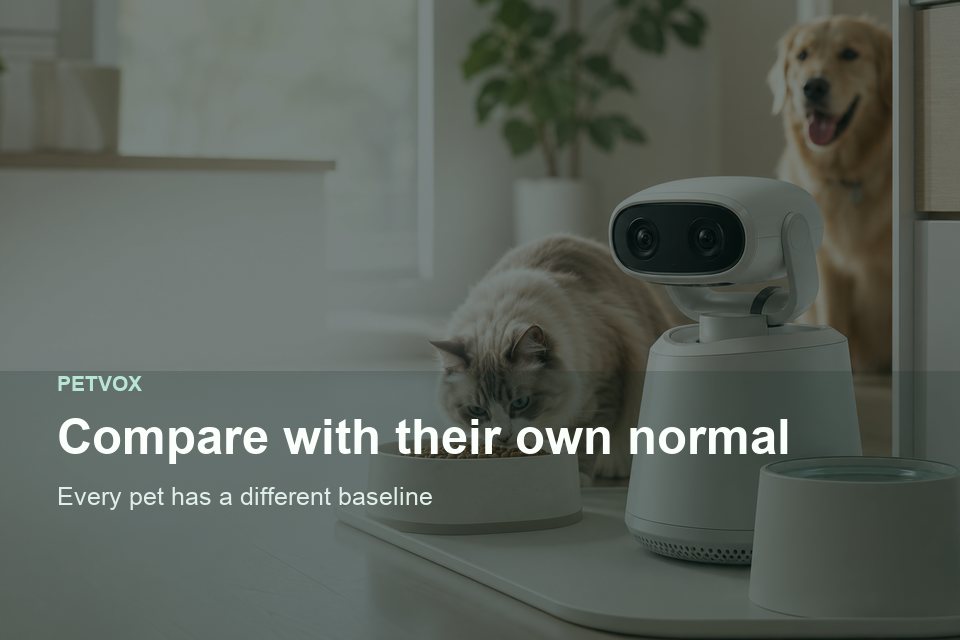 Every pet has a different baseline, shown as a calm daily feeding routine reference.