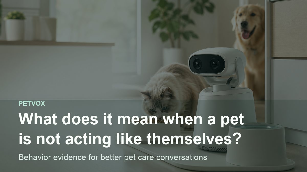 PETVOX feeding-area behavior monitor concept near pet bowls, used as a guide image for daily routine changes.