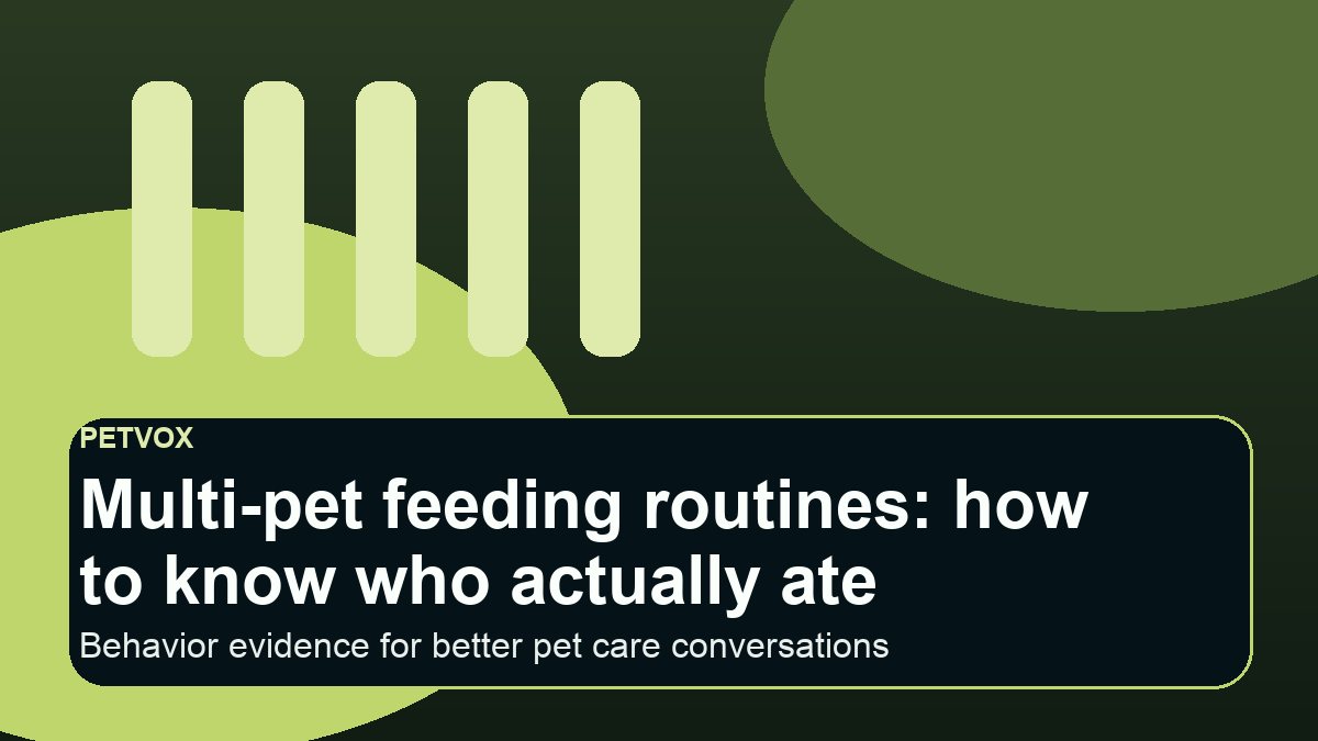 Multiple pets near separate food bowls in a calm home feeding area, illustrating how owners can observe who actually ate.